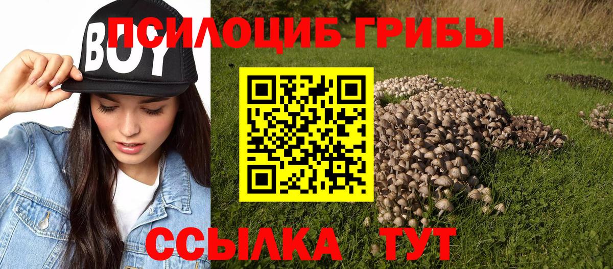 Галлюциногенные грибы прущие грибы Ногинск